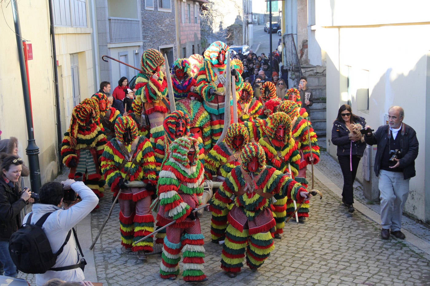  Entrudo chocalheiro