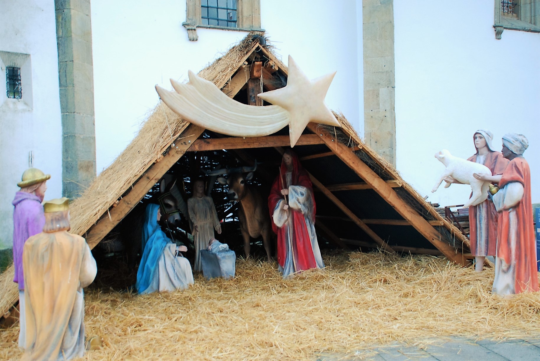  "Terra Natal e de Sonhos"