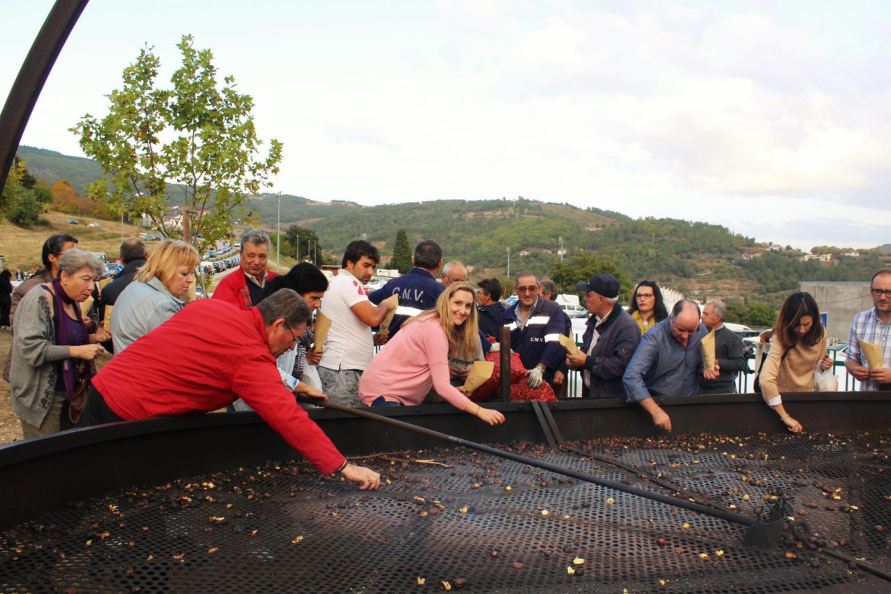  Rural Castanea 2018