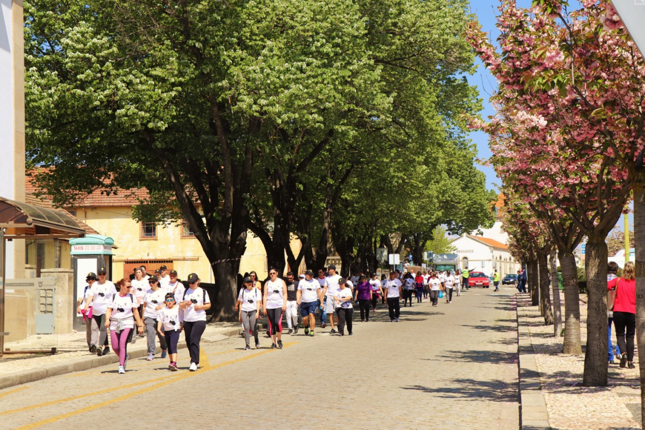  Feira das Cantarinhas 2018