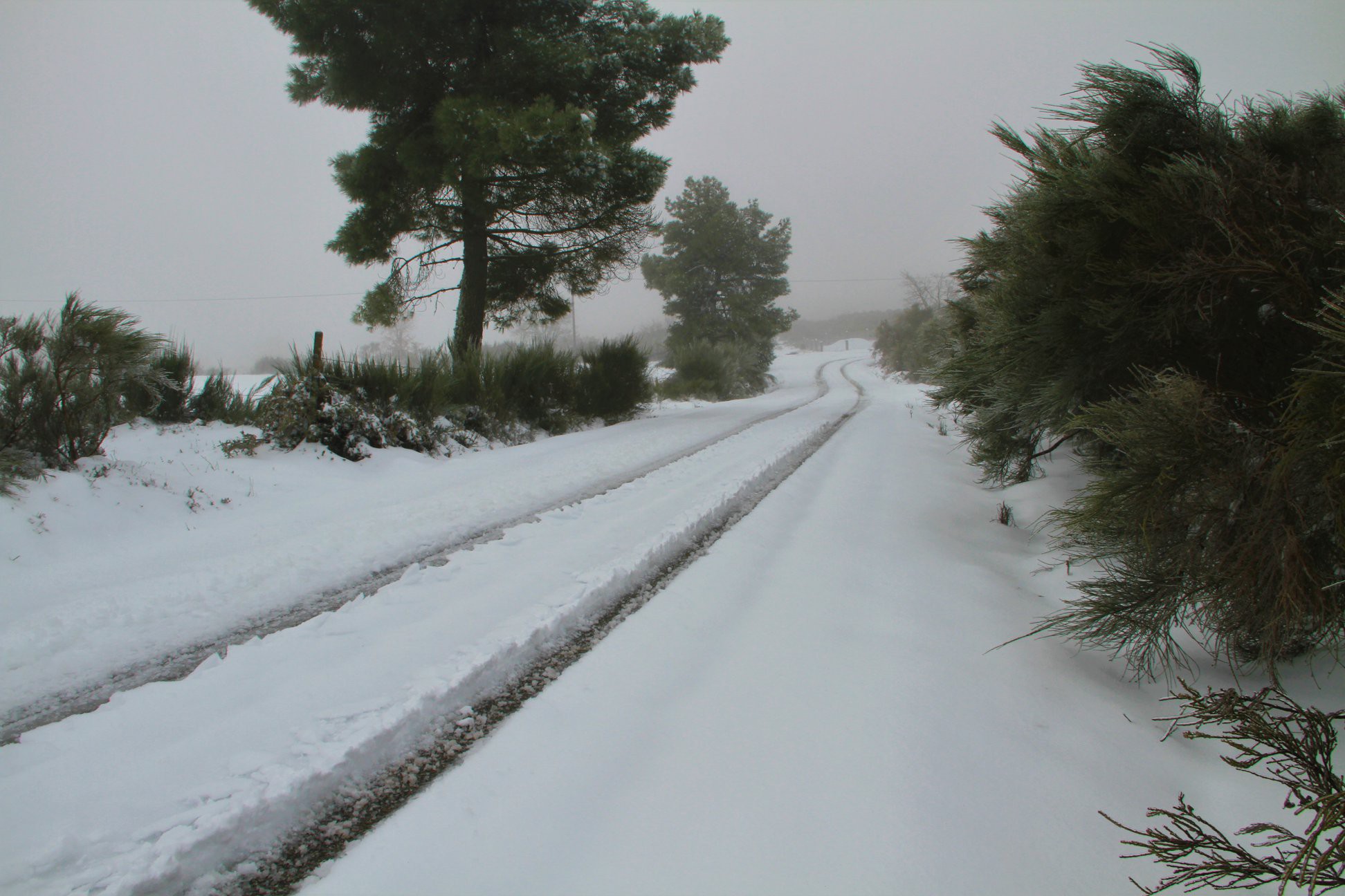  Nevão em Trás-os-Montes