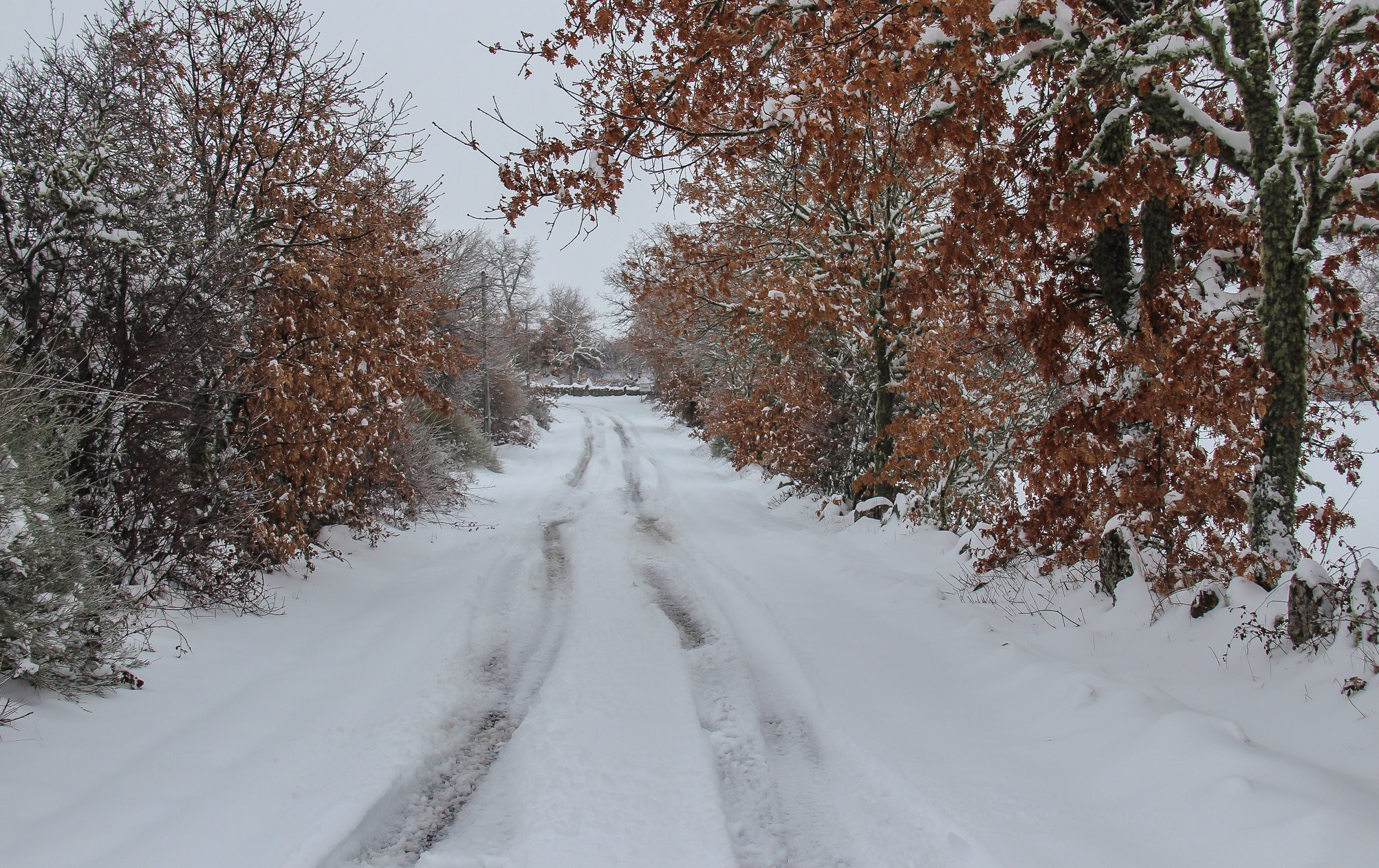  Nevão em Trás-os-Montes