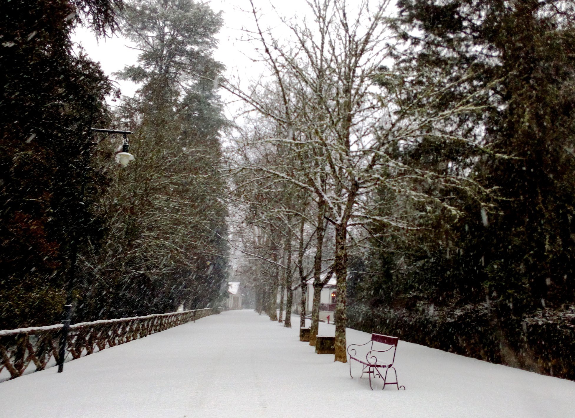  Nevão em Trás-os-Montes