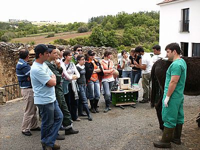 «Acentuado aumento da população»