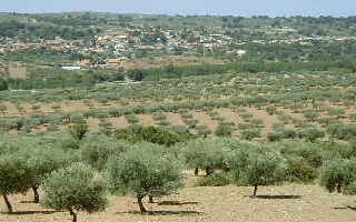 Quinta do Prado