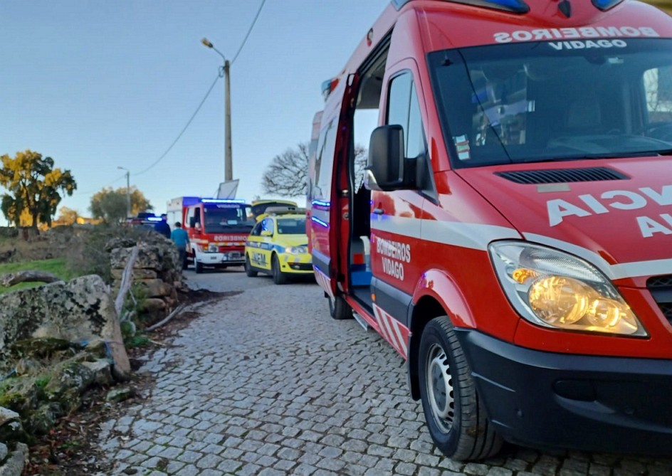 Homem ferido com gravidade em queda de oliveira 