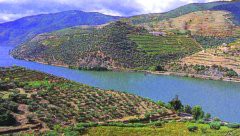 Douro promove vinho