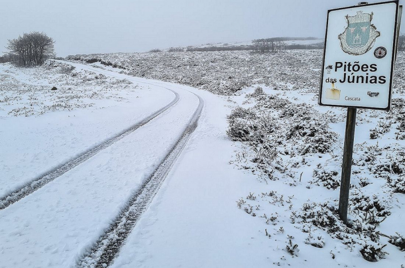 Alunos de Montalegre regressam mais cedo a casa por causa da neve