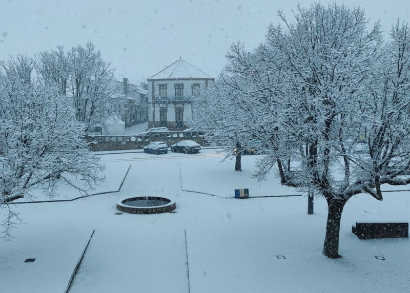 Neve obrigou a encerrar escolas e condicionou ligações viárias em Mogadouro