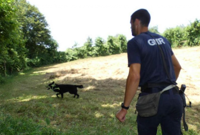 Bombeiros e GNR procuram jovem desaparecido no domingo em Miranda do Douro