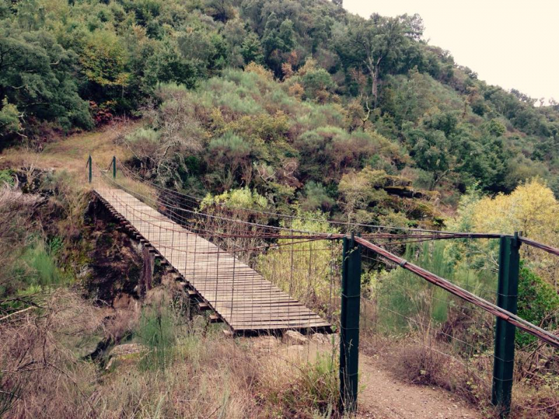 BE questiona Governo sobre reposição da ponte entre Veral e Monteiros no Tâmega