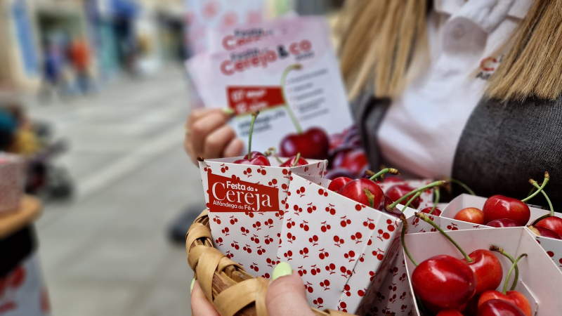 Festa da Cereja regressa a Alfândega da Fé com garantia de "quantidade e qualidade"