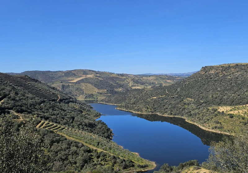 Mogadouro lançou concurso público para o restauro ecológico das margens do Sabor