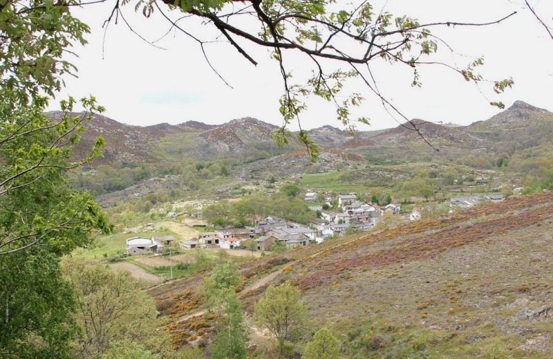 Aprovado primeiro Plano de Cogestão do Parque Natural de Montesinho