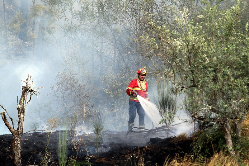 Fogo em Carrazeda de Ansiães em fase de conclusão