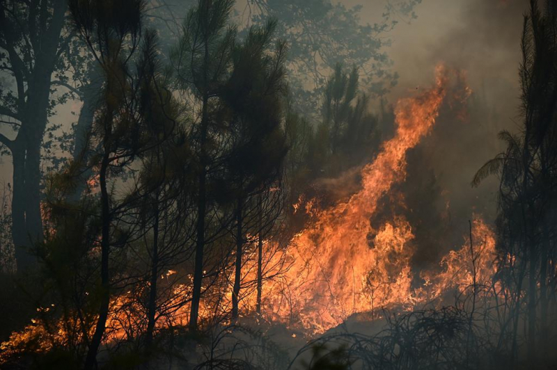 Em fase de resolução fogo que deflagrou em Sabrosa