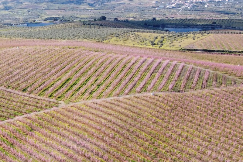 Aprovado Regulamento Hidroagrícola de Vale da Vilariça