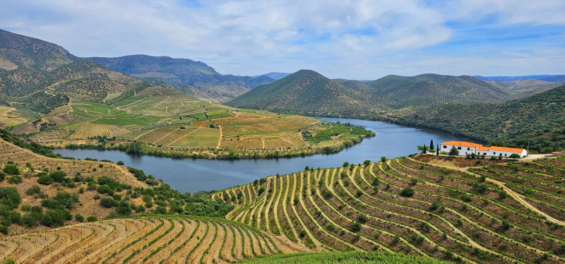 Região Demarcada do Douro escolhida como “Solo do Ano” 2024