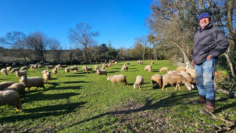 Município de Bragança exige análises de sanidade animal na íntegra