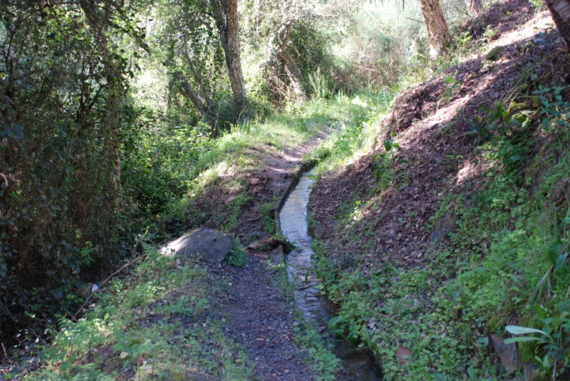 IPB participa em investigação para avaliar uso de aguas residuais tratadas no regadio