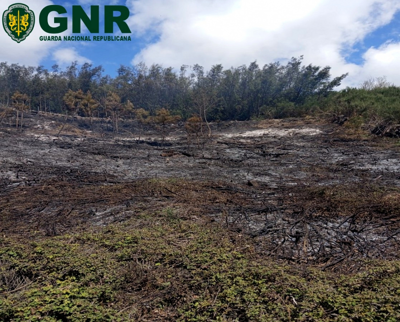 Detido por queima que se terá descontrolado e provocou incêndio em Vila Real