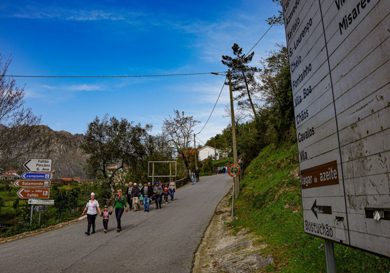 Projeto sobre ciclo da lã em Montalegre finalista dos prémios Novo Bauhaus Europeu