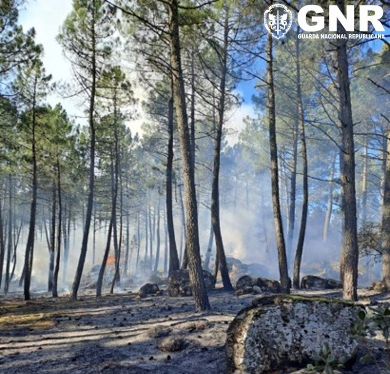 Supeita de atear incêndio detida em Vila Real