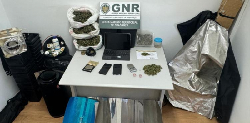 GNR de Bragança detém dois homens suspeitos de tráfico de droga