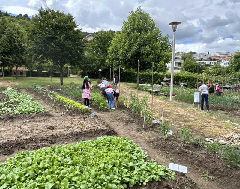 Projeto "A Minha Horta" junta crianças e idosos em Vila Pouca de Aguiar