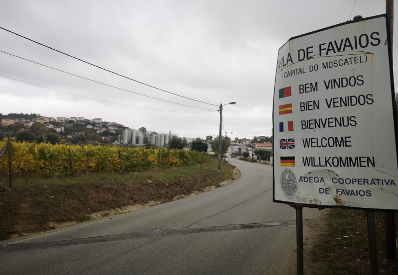 Empresa do Douro investe mais de 3 ME em projeto de enoturismo em Alijó