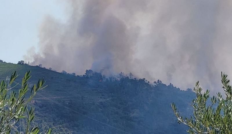 Homem constituído arguido por provocar incêndio florestal