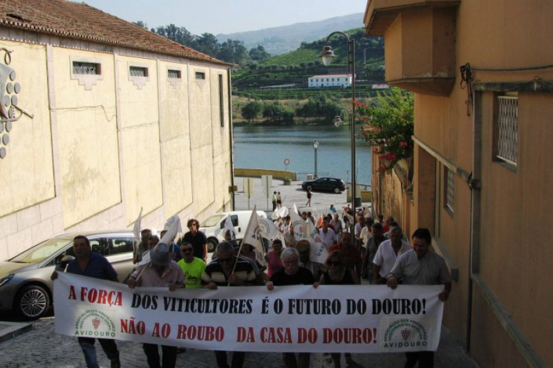 Viticultores do Douro protestam hoje contra corte na produção de vinho do Porto