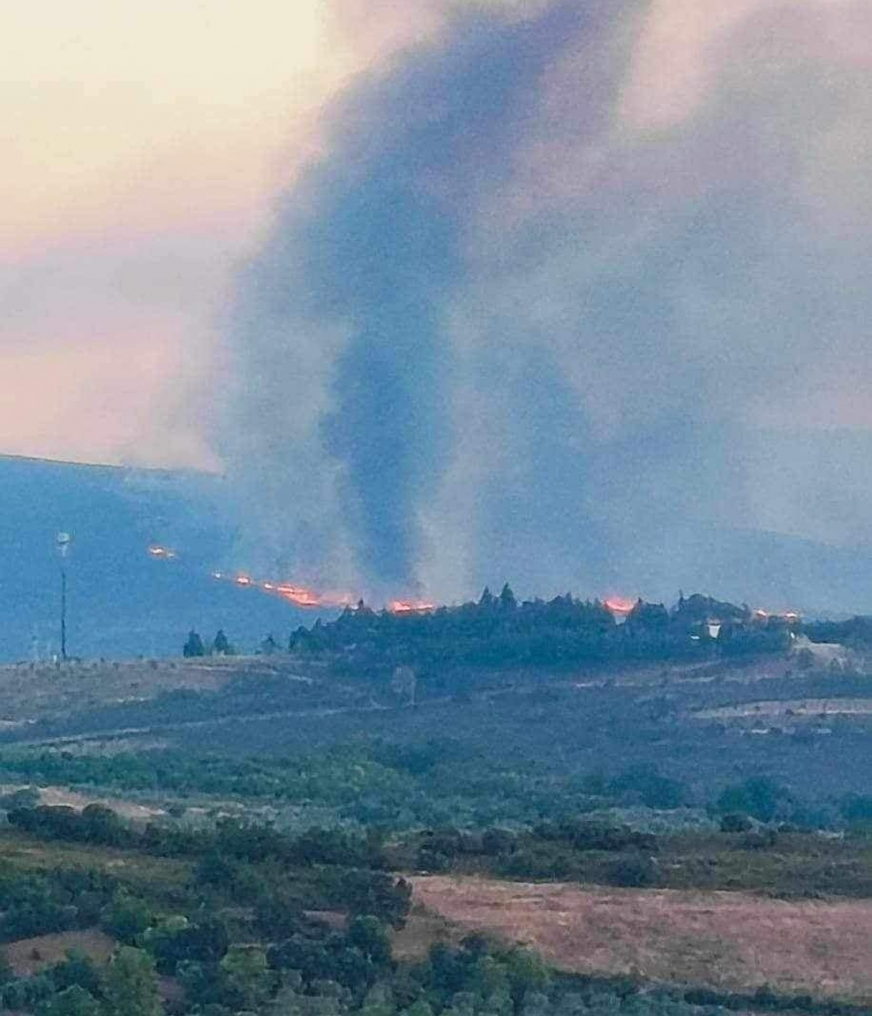 Seis meios aéreos e quase 290 bombeiros combatem chamas em Montesinho