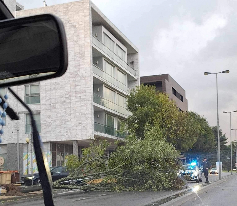 Número significativo de ocorrências em Vila Real num curto período devido a mau tempo