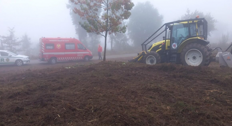 Trabalhador do ICNF morre após picada de vespa asiática em Mondim de Basto