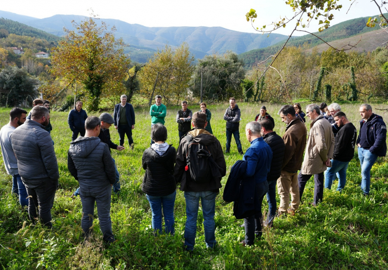 Curso sobre pastoreio arranca em Mondim de Basto com 20 participantes