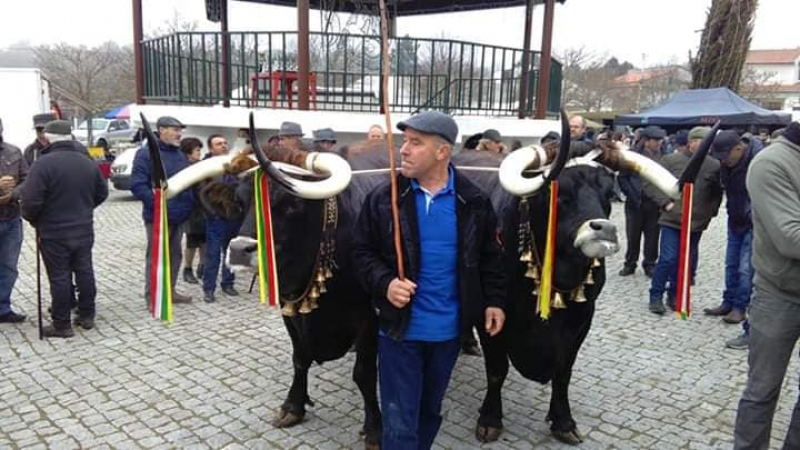 Feira dos Reis celebra a agricultura e a solidariedade numa aldeia de Alijó