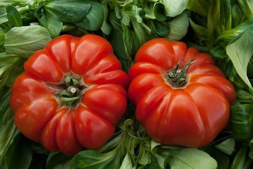 Festa do Tomate Coração de Boi do Douro nos restaurantes da região