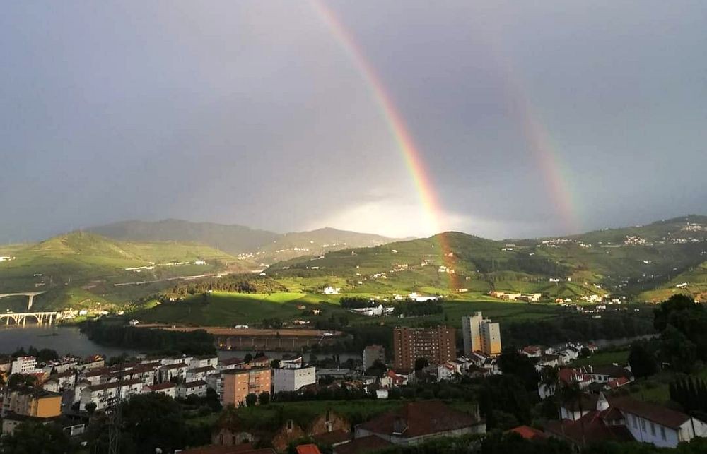 Régua estima prejuizos de 2,2ME após estragos em 930 hectares de vinha