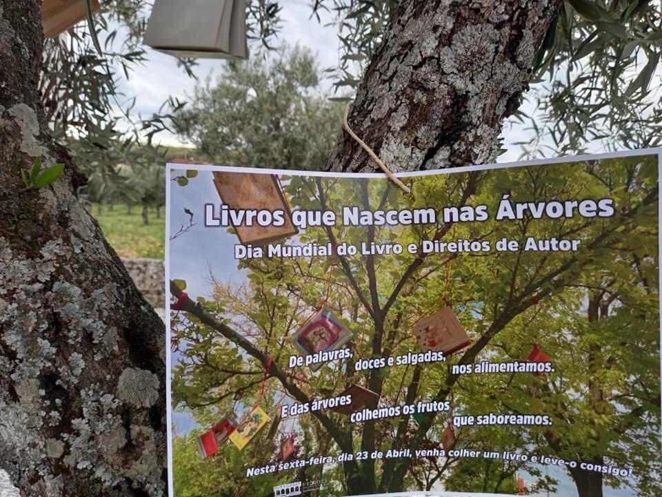 Mirandela pendura livros em árvores para serem “colhidos” por quem quiser ler