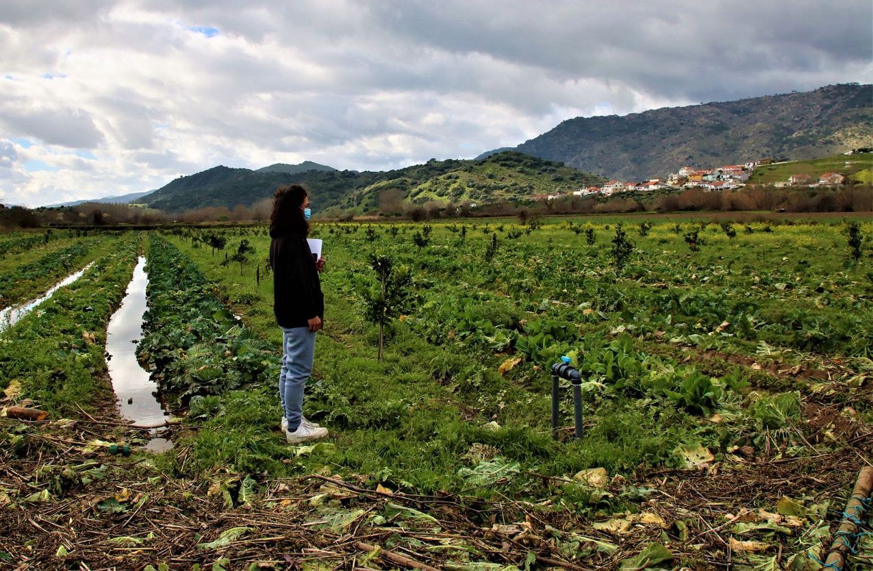 Agricultora de Moncorvo responsabiliza EDP por prejuízos causados pelas cheias