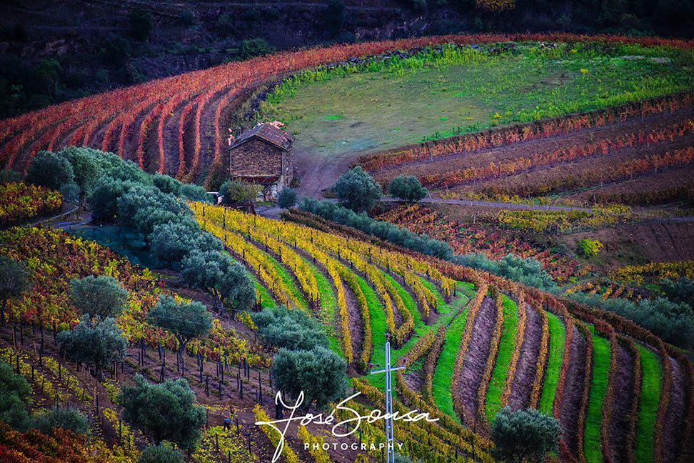 Exposição de 324 fotografias leva à descoberta do Douro Património Mundial