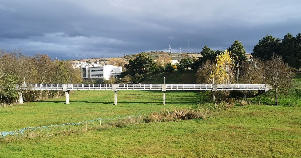 Politécnico de Bragança com 4 profissionais e "diversos alunos" confinados