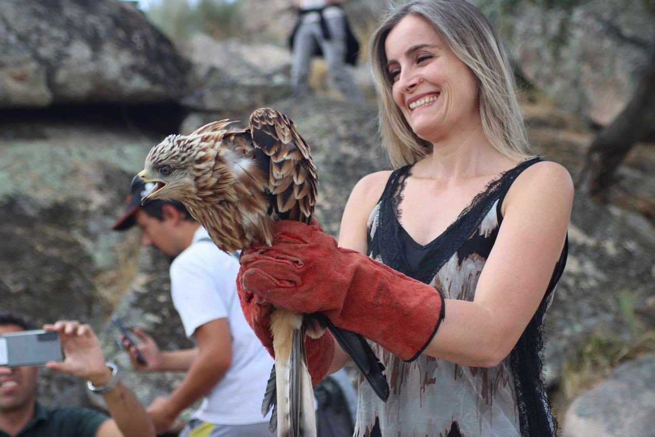 Projeto Sentinelas apresentou 10 denúncias devido a utilização de venenos contra aves