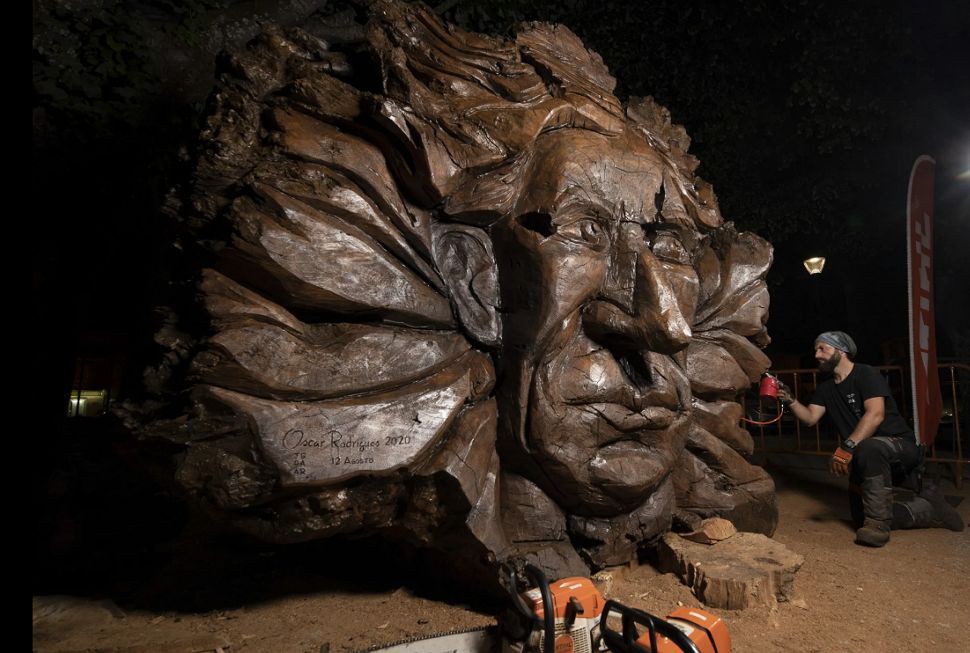 Escultura de rosto de Miguel Torga em raiz gera polémica e atrai curiosos a Sabrosa