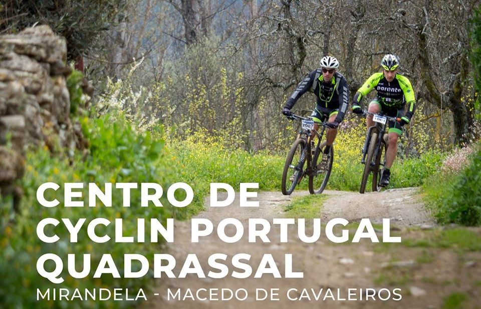 Mirandela e Macedo de Cavaleiros com 230 mil euros para Centros de Cyclin