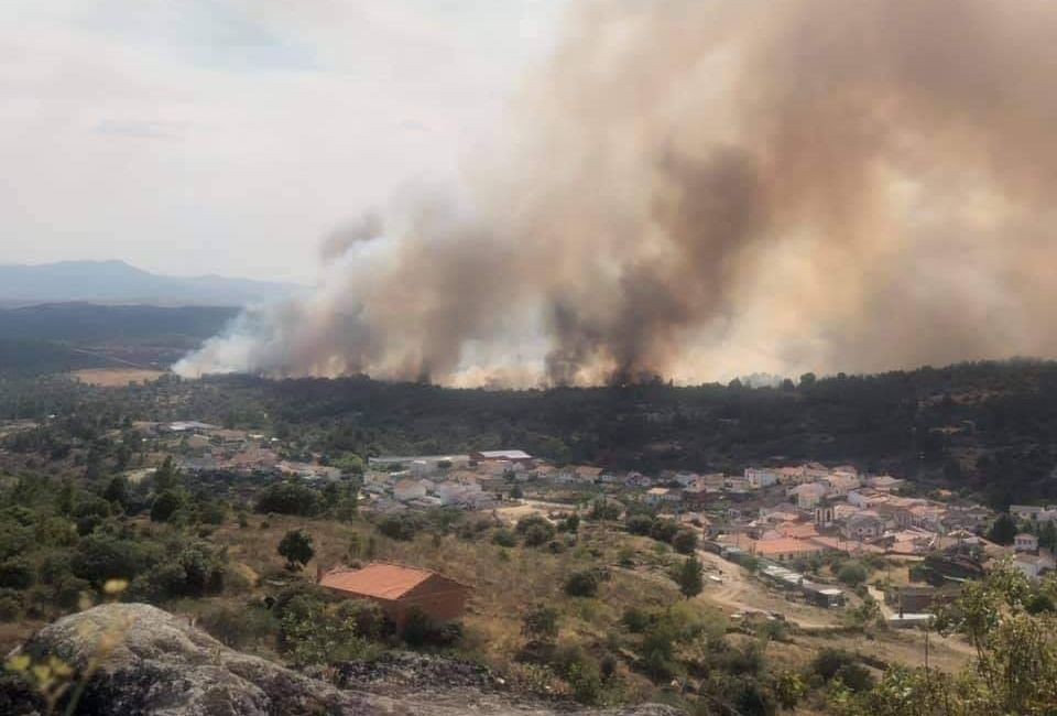 Detido homem suspeito de originar fogo de Mirandela com trabalhos agrícolas