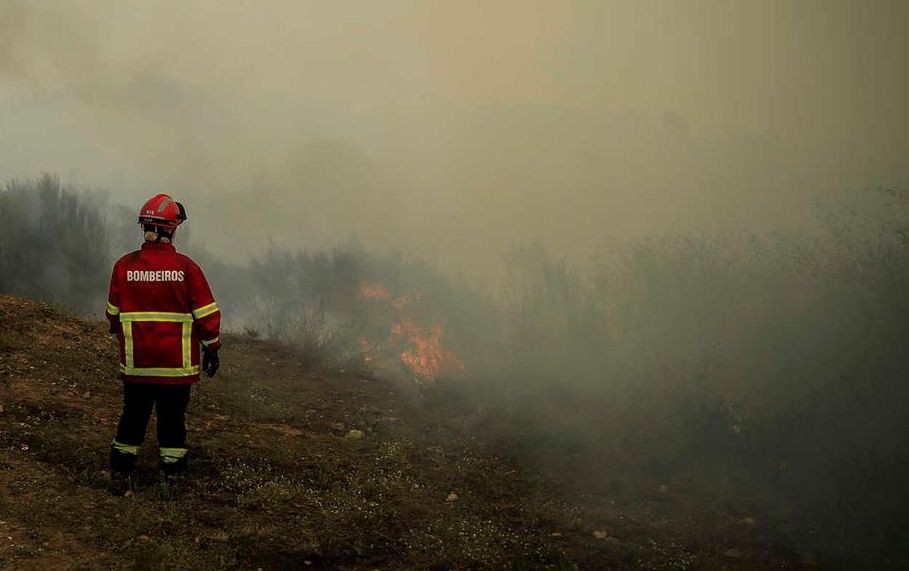 Dominado fogo de Selores em Carrazeda de Ansiães