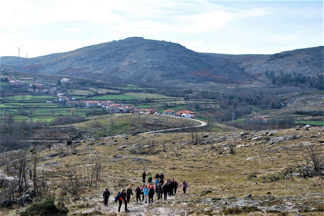 Menir da Pedra d'Anta em Ribeira de Pena em vias de classificação