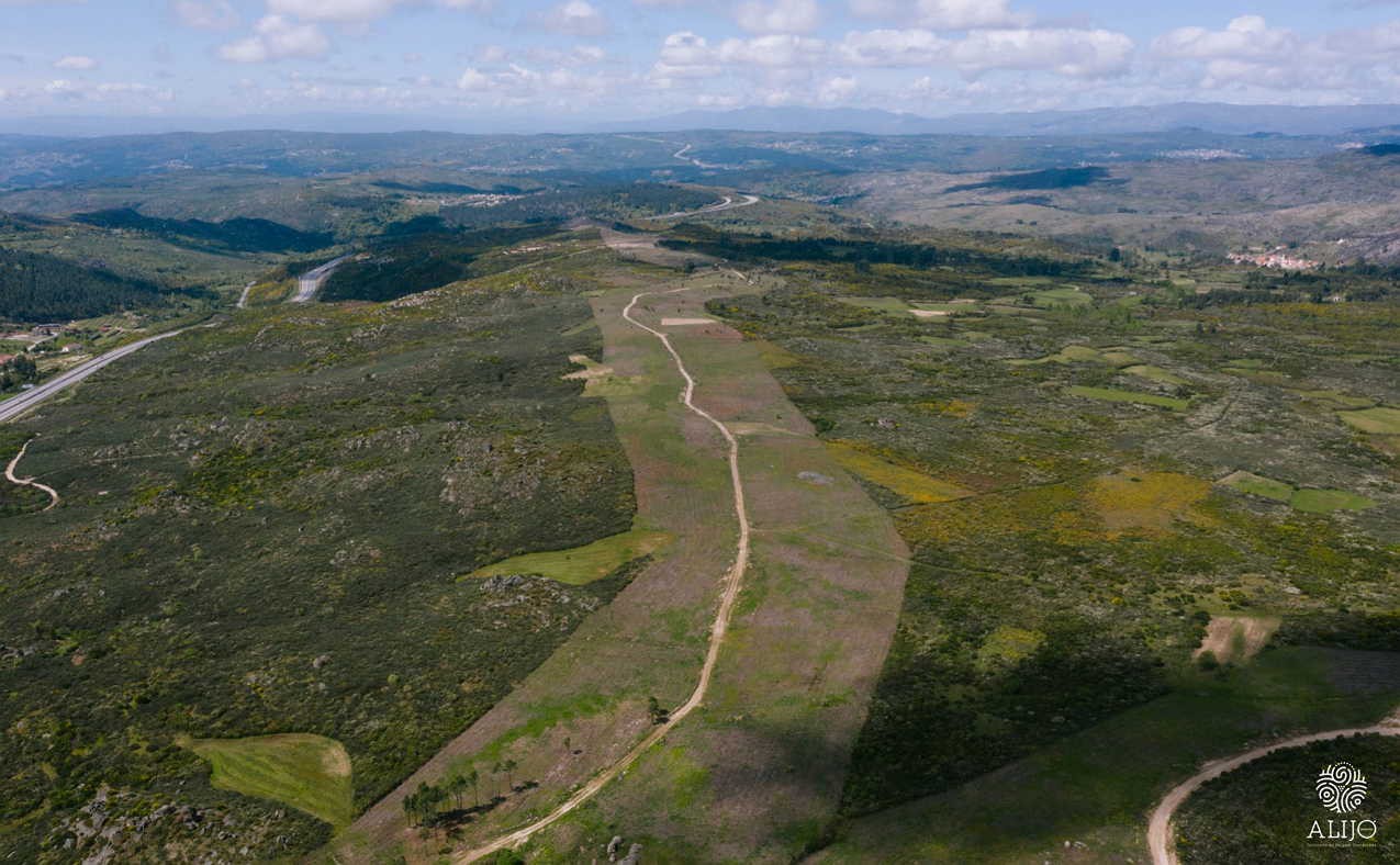 Câmara de Alijó investe 240 mil euros na prevenção de fogos florestais